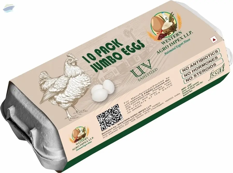 10 Pack Jumbo Eggs