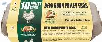 Pack Of 10 Pack Pullet Eggs
