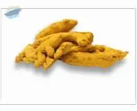 Turmeric Finger