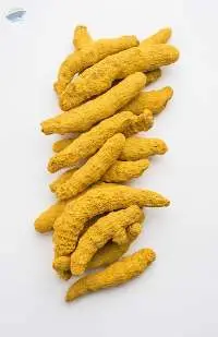 Premium Natural Turmeric Finger Export Quality