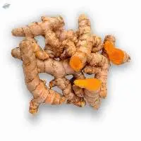 Turmeric Bulb