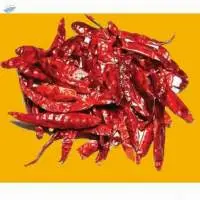 Red Teja S17 Chilli