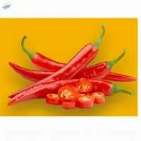 Red Sannam S4 Chill