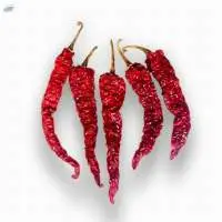 Premium Red Byadagi Chilli Export Quality