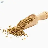 Premium Coriander Seeds Export Quality