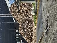 Wood Chips