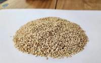 Brazil White Sesame - K3