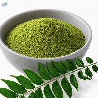 Curry Leave Powder (Dehydrated)