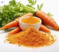 Carrot Powder (Dehydrated)
