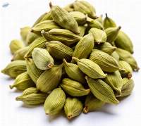 Green Cardamom
