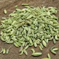 Fennel Seeds