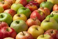 Apples (Red, Green, Fuji, Gala)