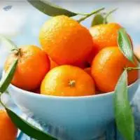 Oranges (Juicy & Tangy)