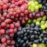 Grapes (Red, Green & Seedless)