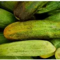 Cucumber (Crisp & Cool)