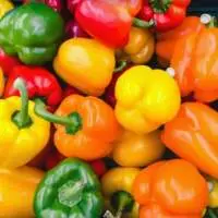 Bell Peppers (Red, Green, Yellow)