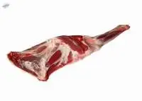 Mutton Shoulder Bone
