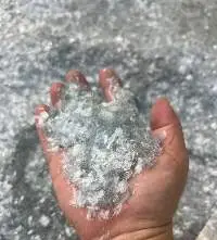 PET Blister