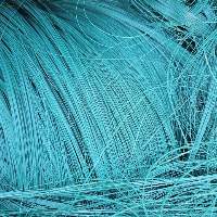 PET Yarns