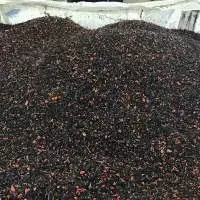 HDPE Pipe Conduit Regrind