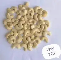 Cashew nut kernel