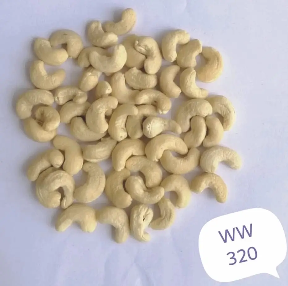 Cashew nut kernel