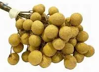 Fresh Longan (IDO Variety)