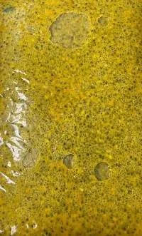 Frozen Passion Fruit Pulp