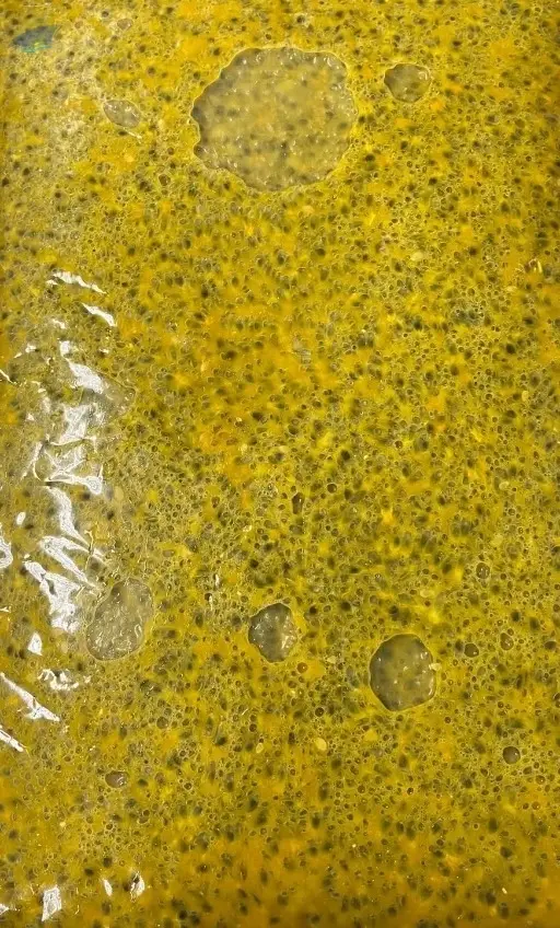 Frozen Passion Fruit Pulp