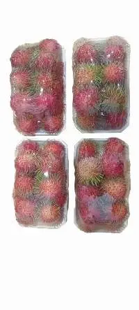 Thai Rambutan