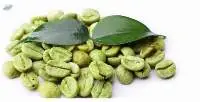 Premium Green Coffee Beans