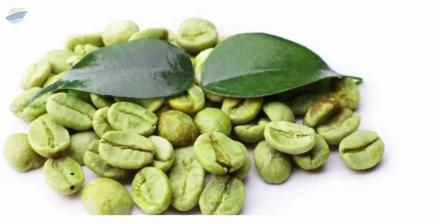 Premium Green Coffee Beans