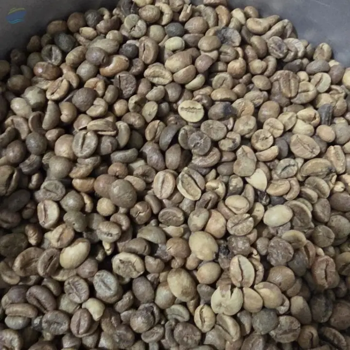 Robusta Lampung