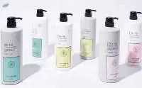 Japanese Shampoo & Treatment