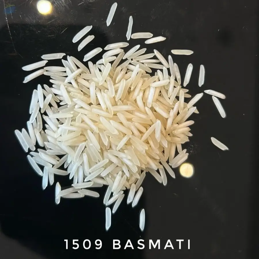 1509 Basmati Sella Rice