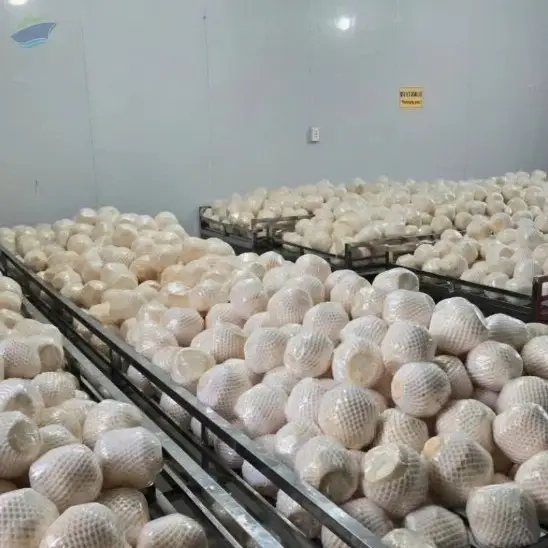 Fresh Coconut