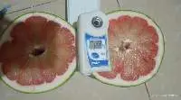 Fresh Green Skin Pomelo