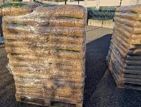 Enplus A1 Wood Pellets