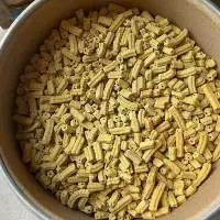 Vanadium Catalyst