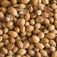 Coriander Seeds