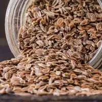 Dill Seeds