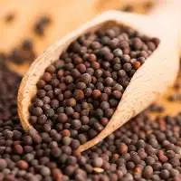 Mustard Seeds