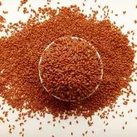 Halim Seeds