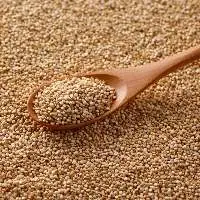 Quinoa Seeds