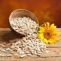 Sunflower Seeds