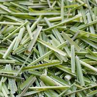 Lemongrass