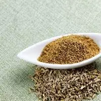 Fennel Powder