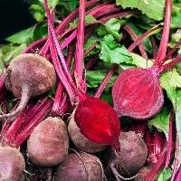 Beetroot