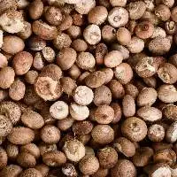 Arecanuts