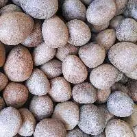 Dried Coconut